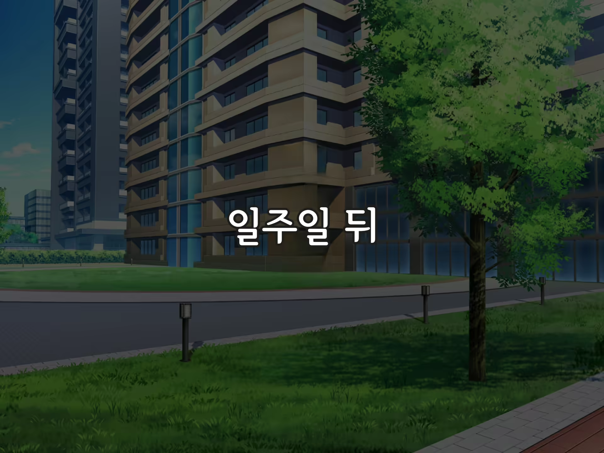 Content 2370374 - 55 페이지