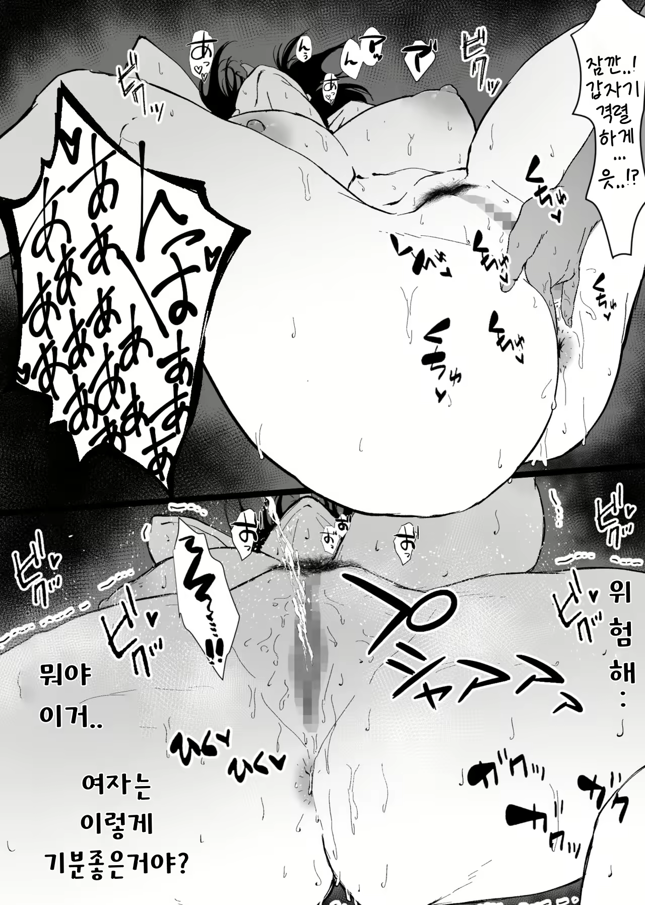Content 2384510 - 15 페이지
