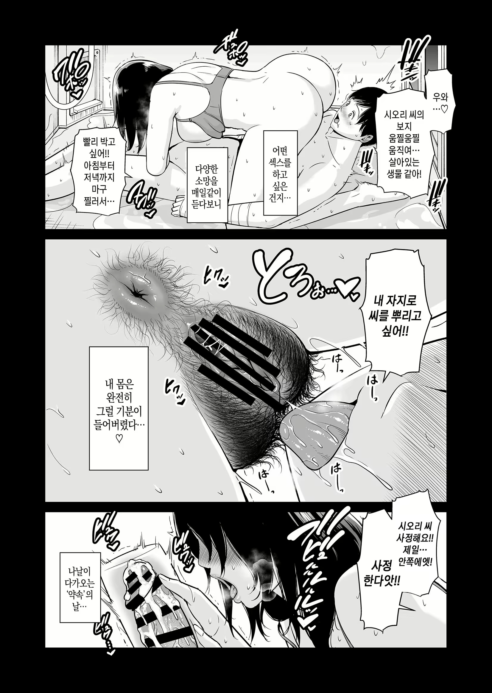 Content 2391195 - 3 페이지