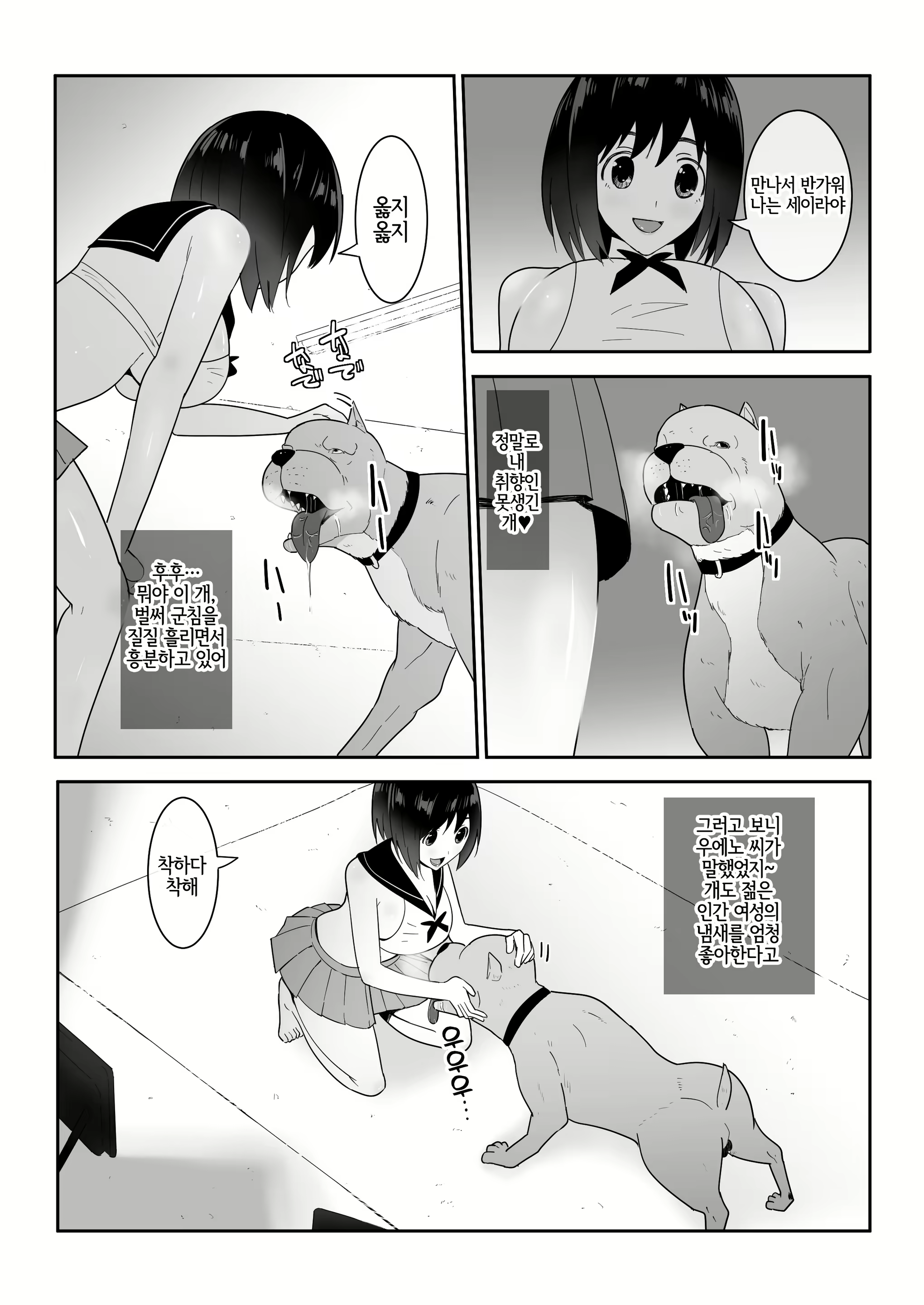 Content 2404722 - 14 페이지