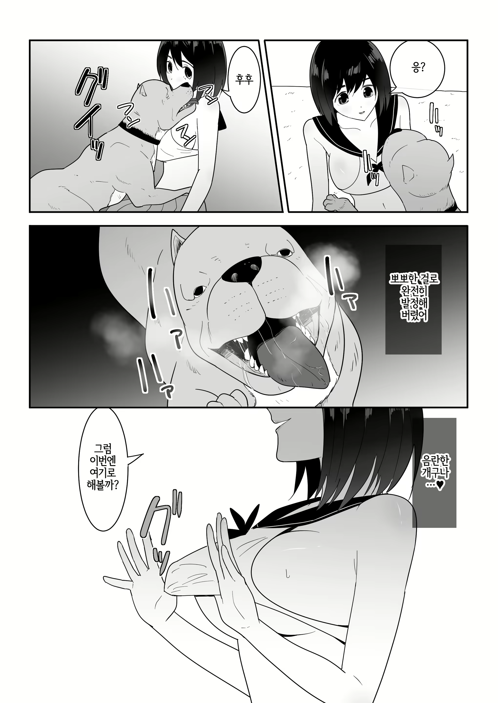 Content 2404722 - 17 페이지