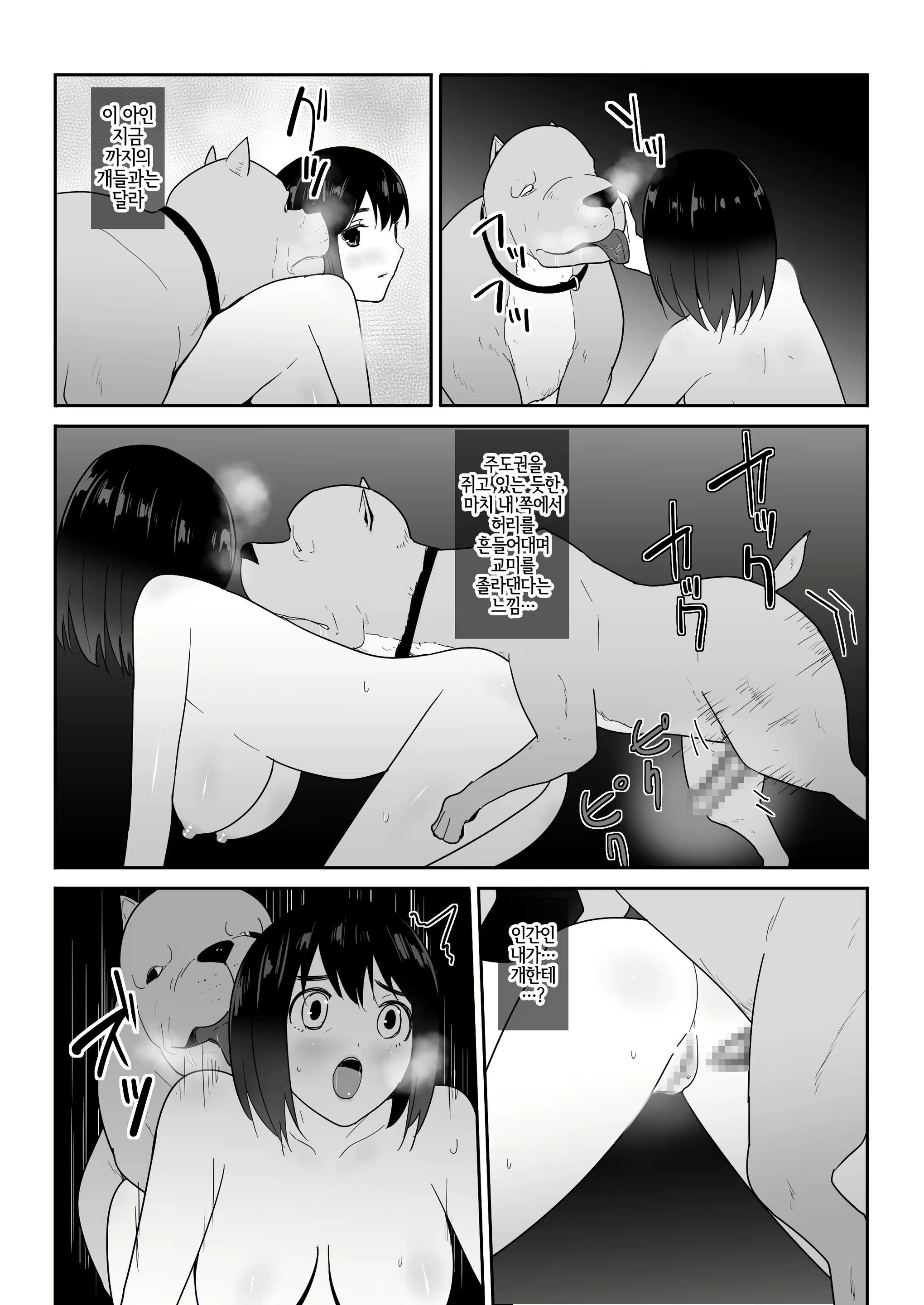 Content 2404722 - 25 페이지