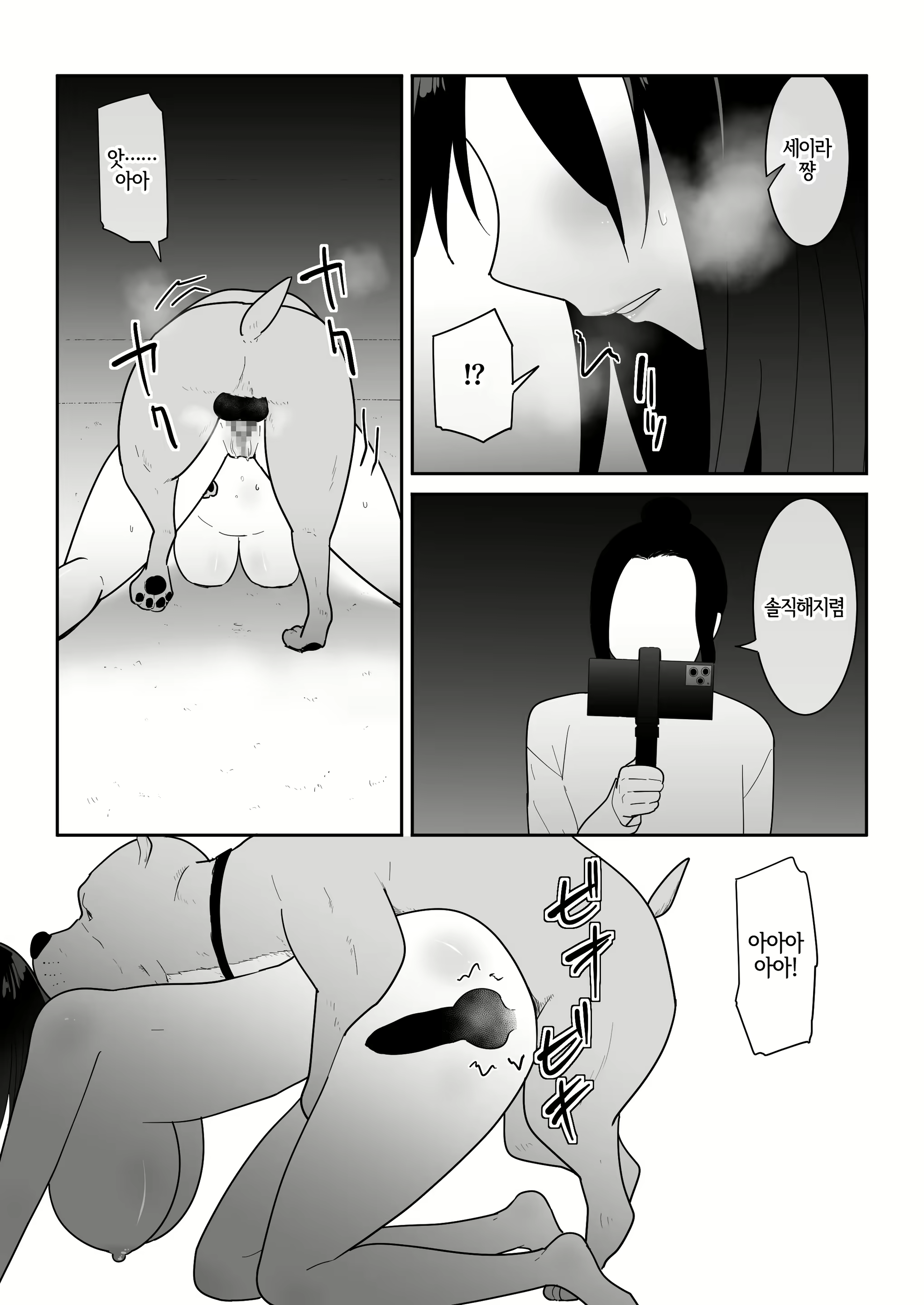 Content 2404722 - 31 페이지