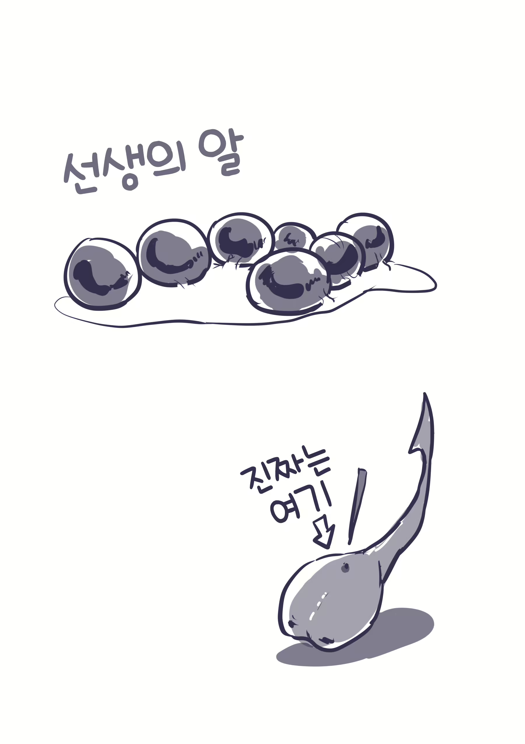 Content 2406654 - 25 페이지