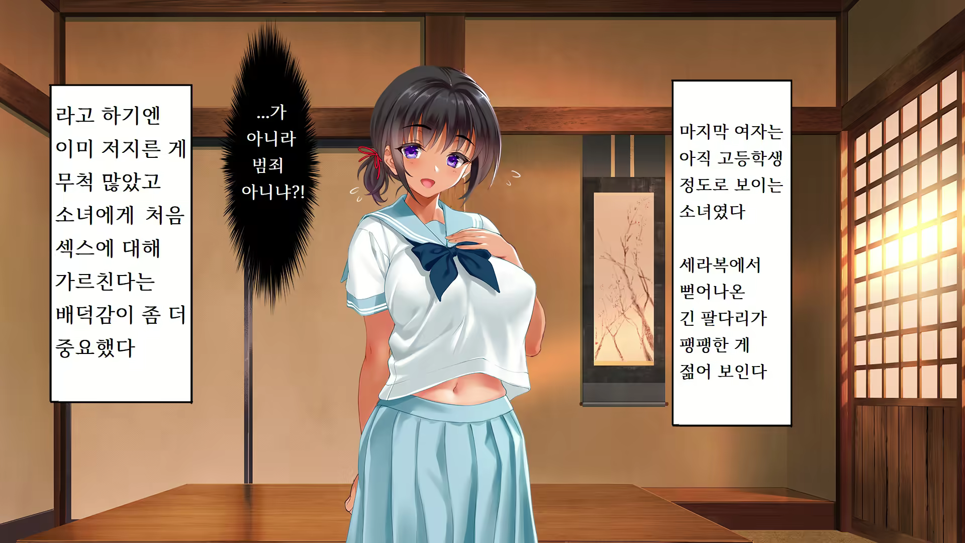Content 2424755 - 336 페이지