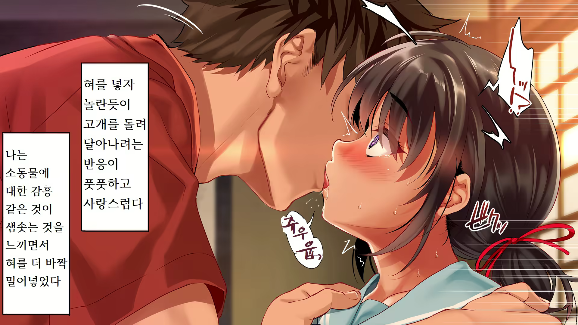 Content 2424755 - 346 페이지