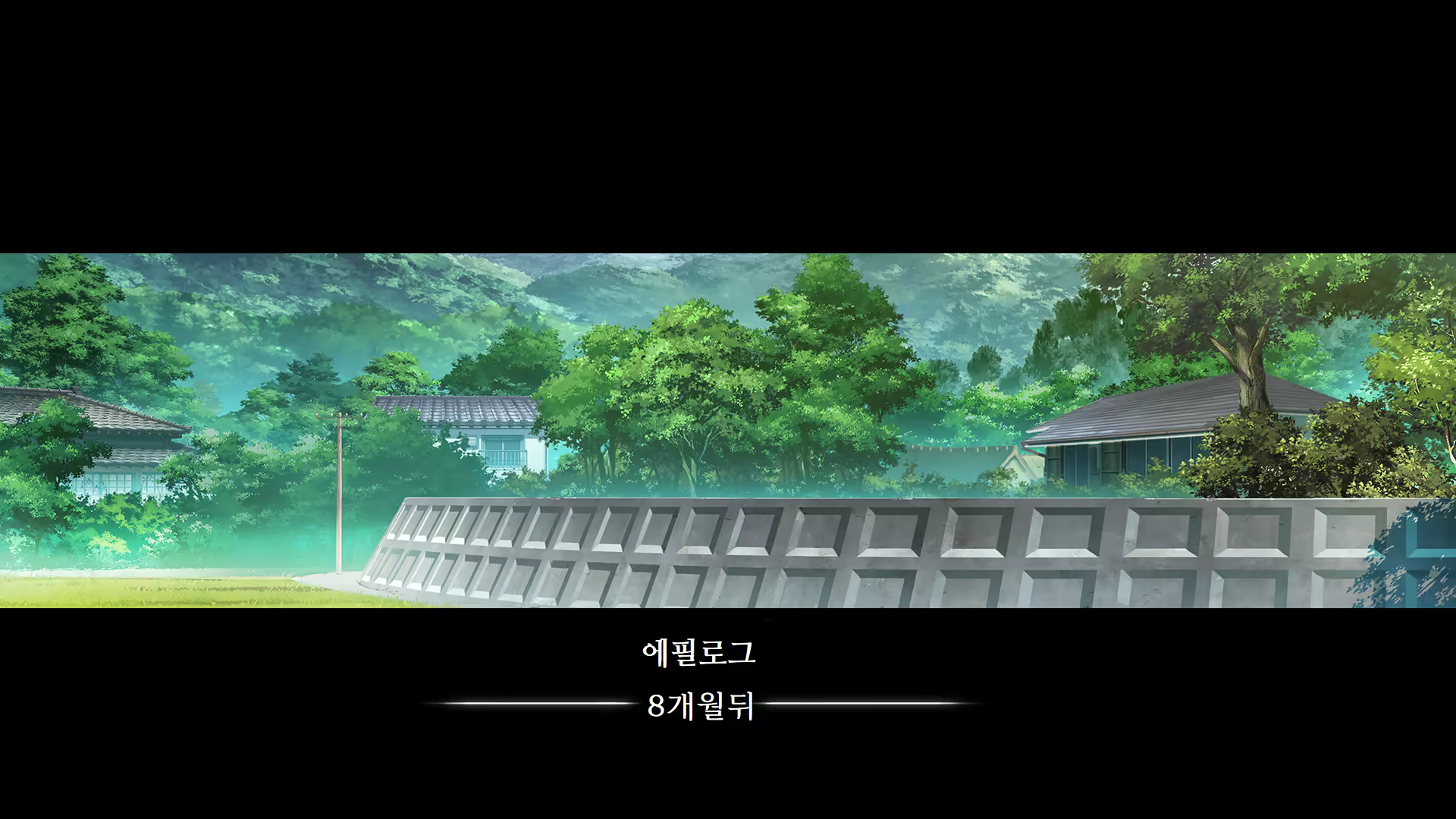 Content 2424755 - 561 페이지