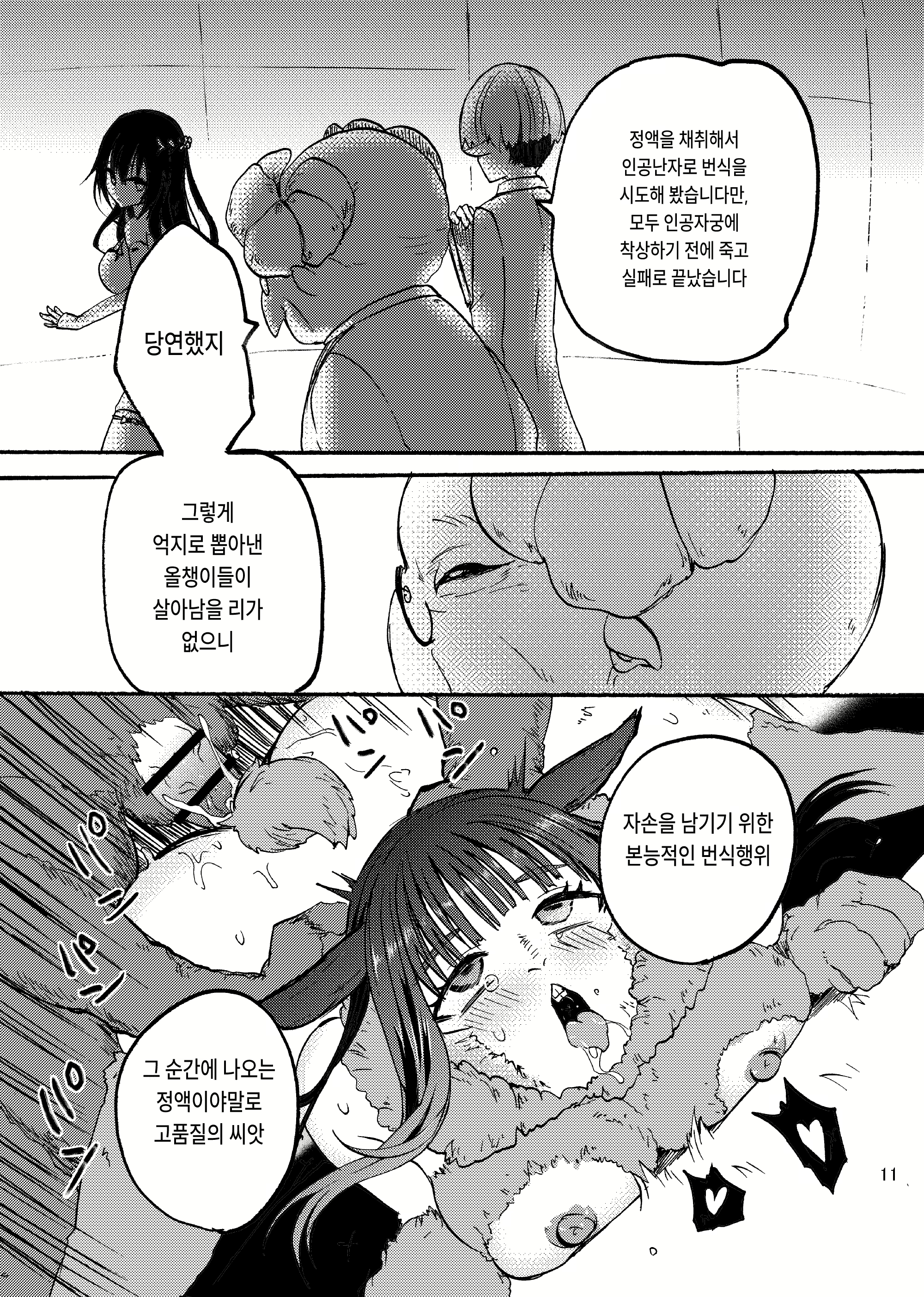 Content 2427193 - 10 페이지