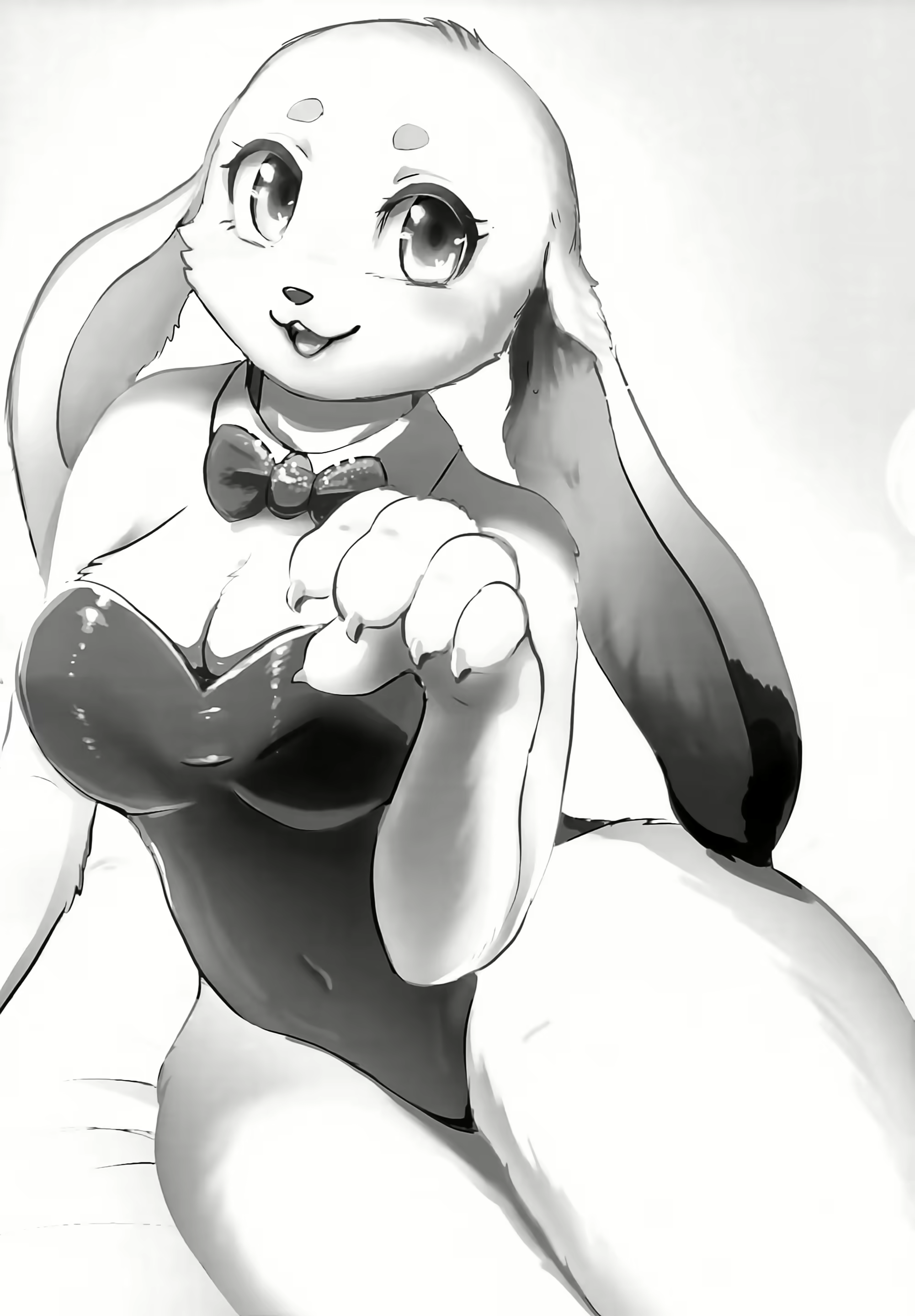 Content 2432737 - 2 페이지