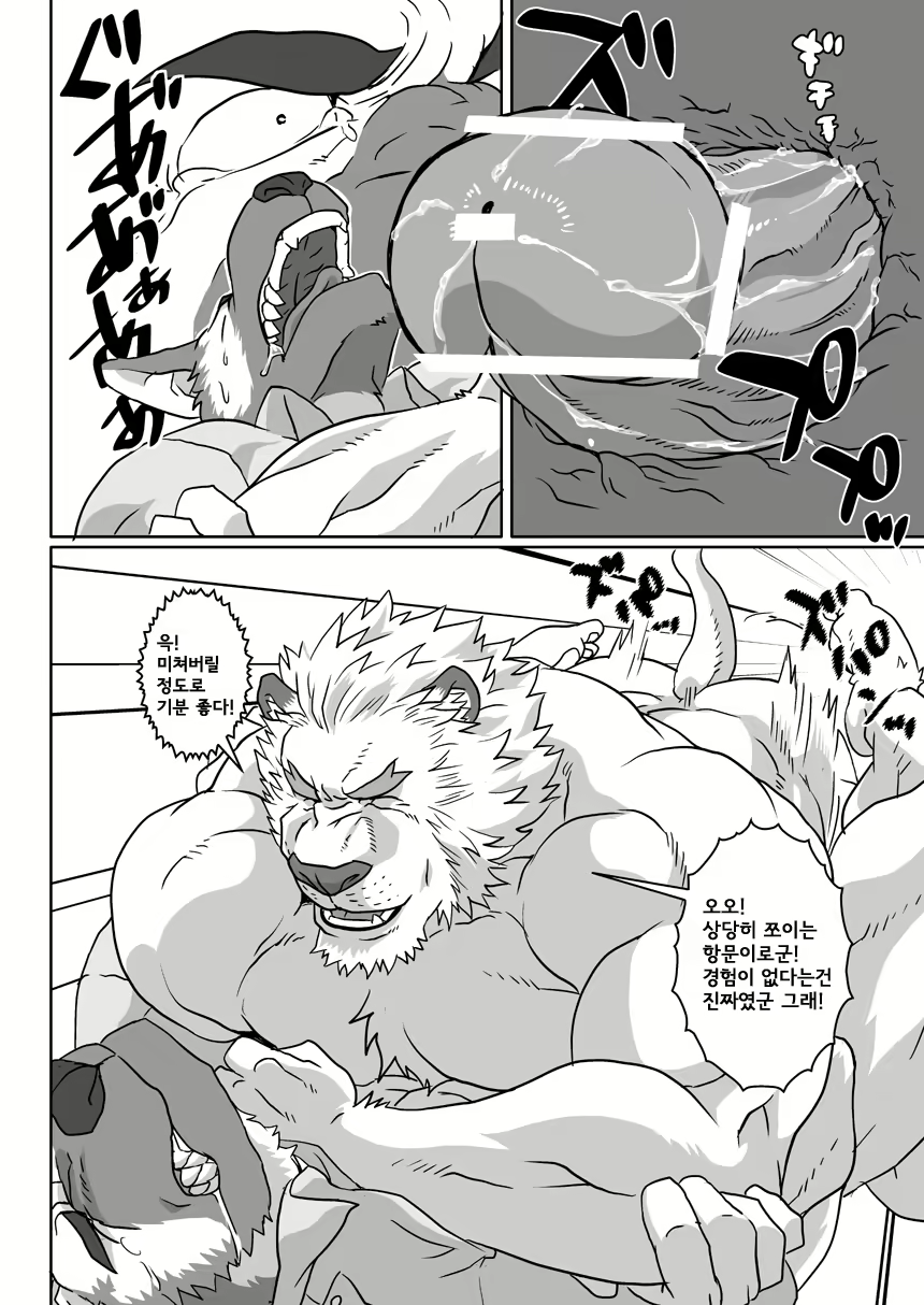 Content 2436551 - 13 페이지