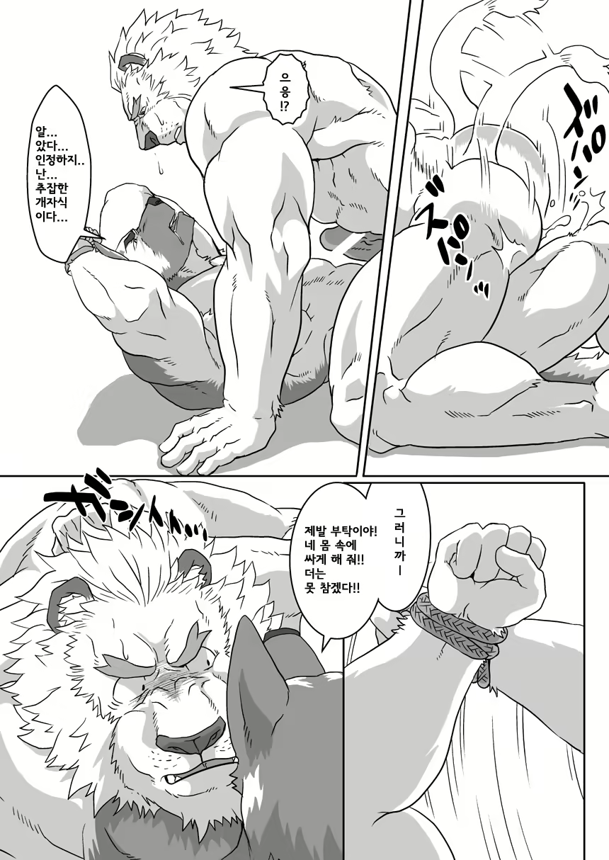 Content 2436551 - 26 페이지