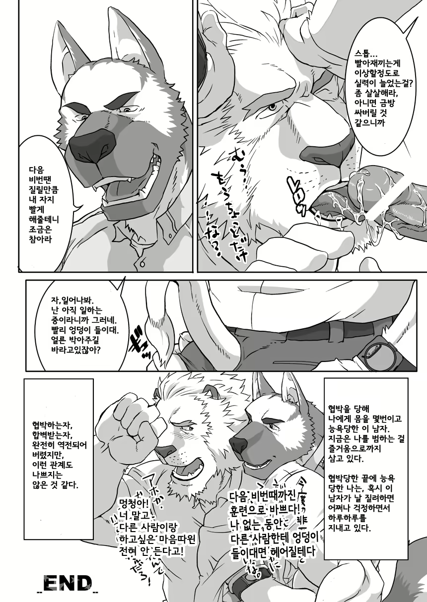 Content 2436551 - 31 페이지