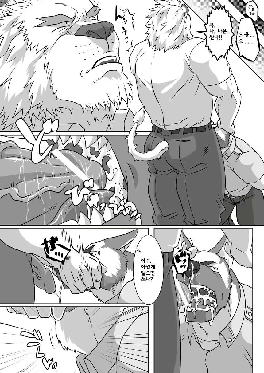 Content 2436551 - 8 페이지