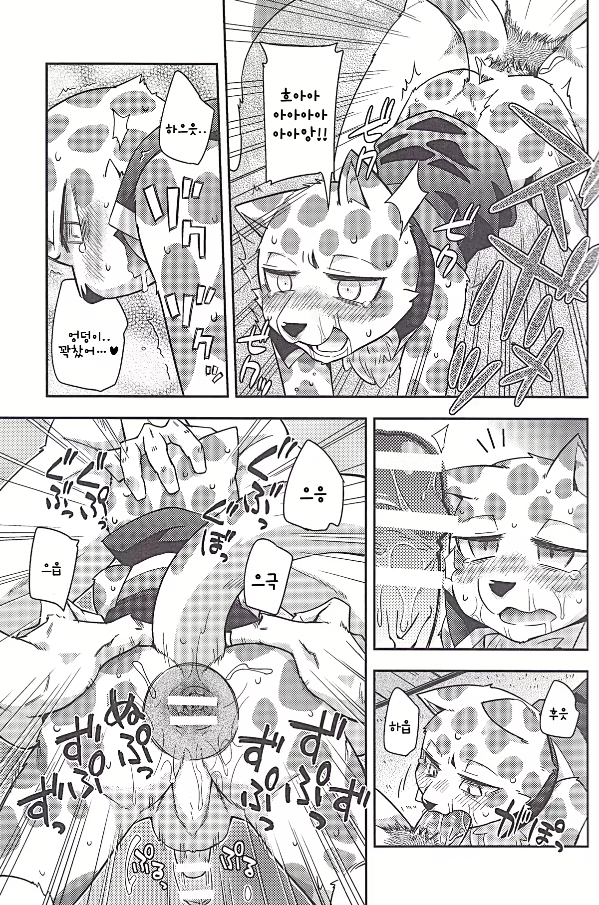Content 2440649 - 14 페이지