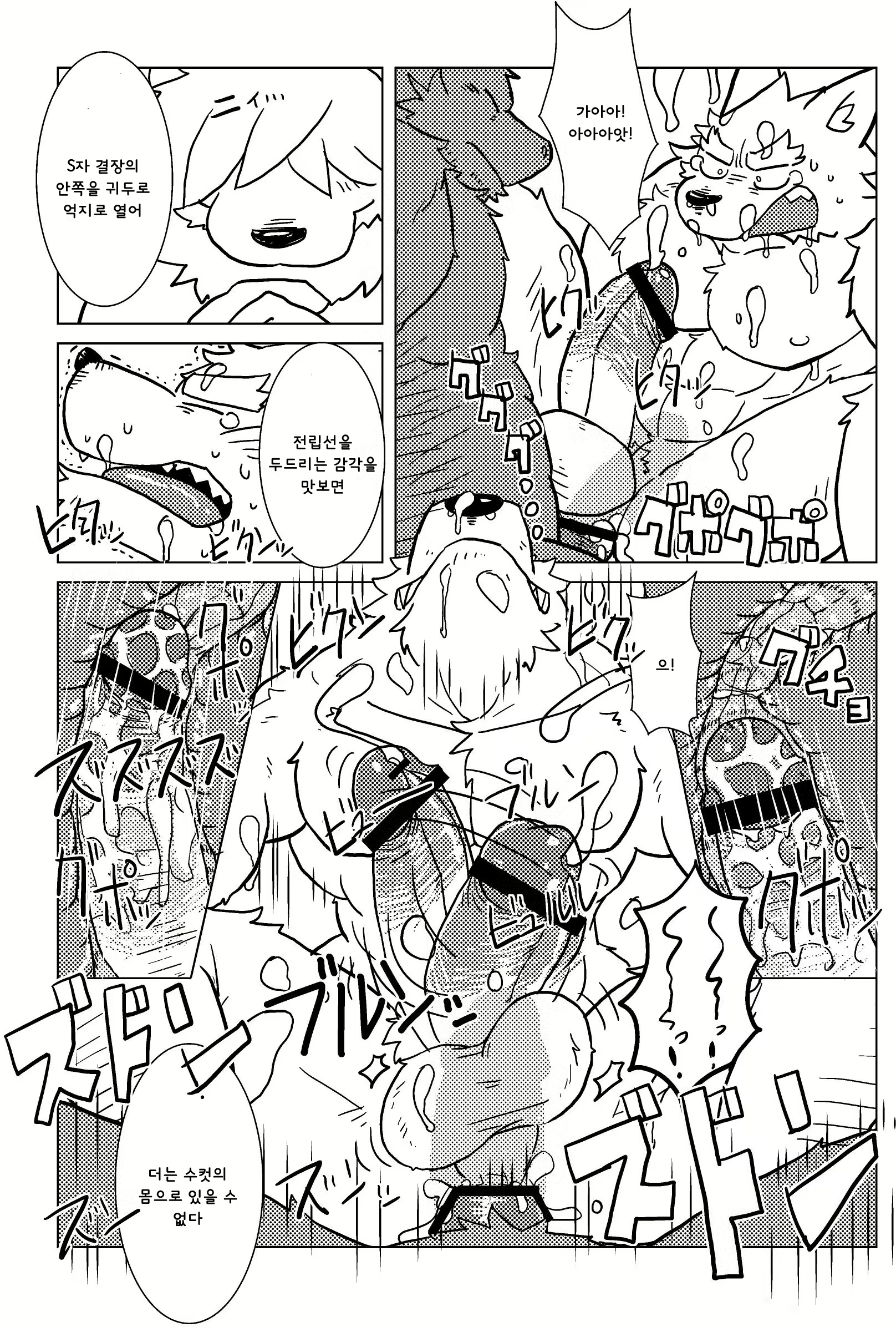 Content 2442847 - 15 페이지