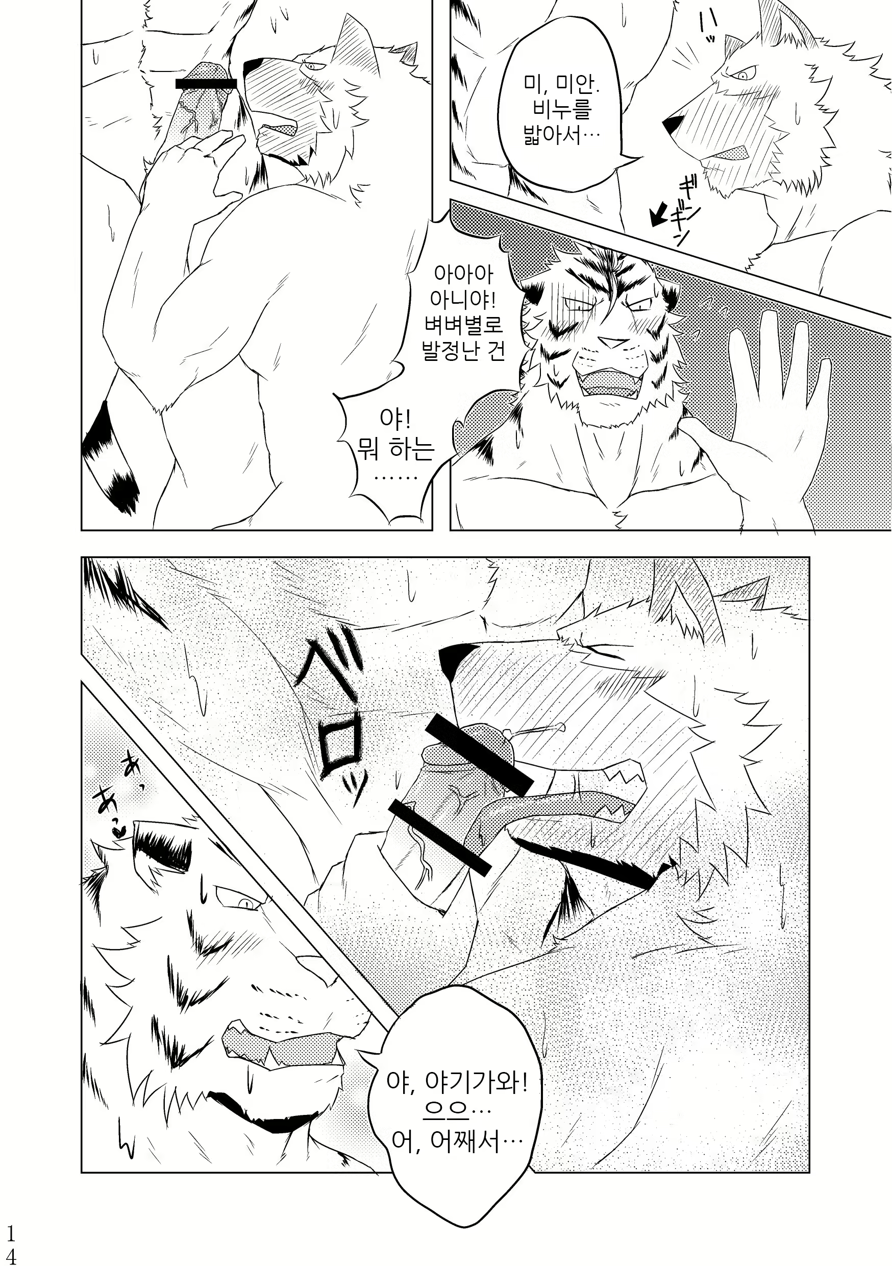 Content 2443063 - 13 페이지