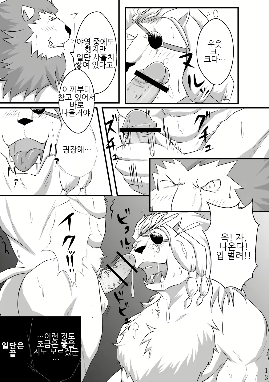 Content 2443067 - 12 페이지