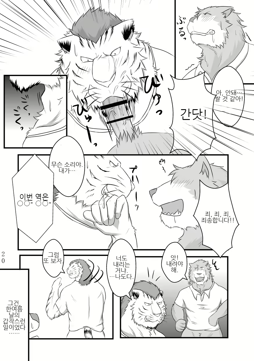Content 2443067 - 19 페이지