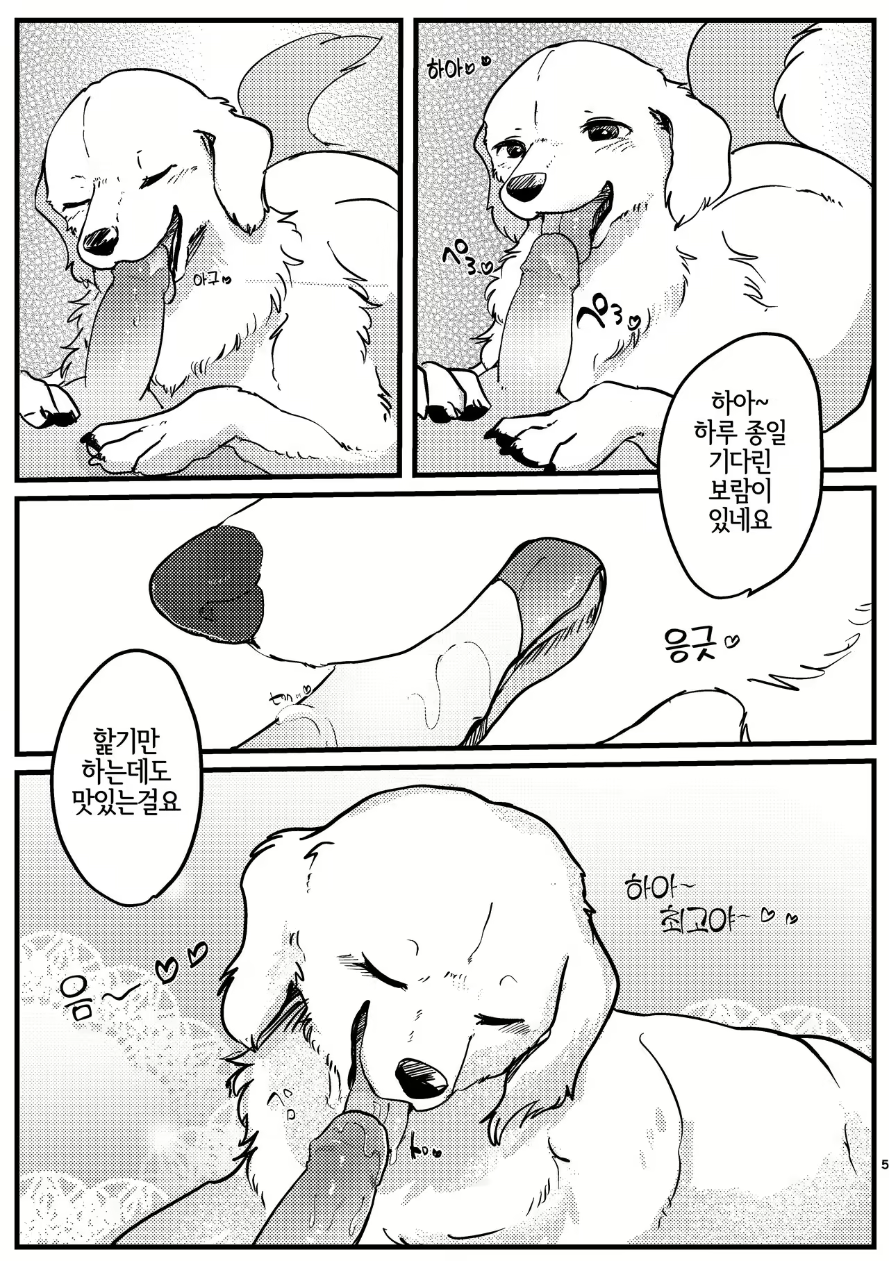 Content 2445203 - 5 페이지