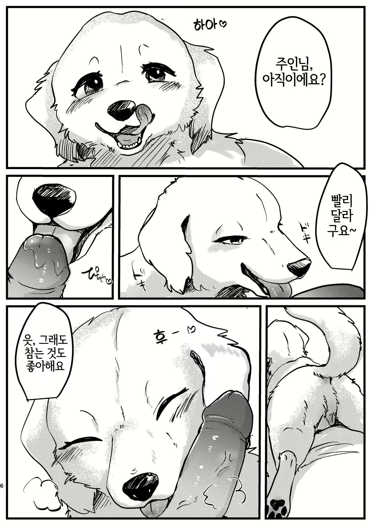 Content 2445203 - 6 페이지