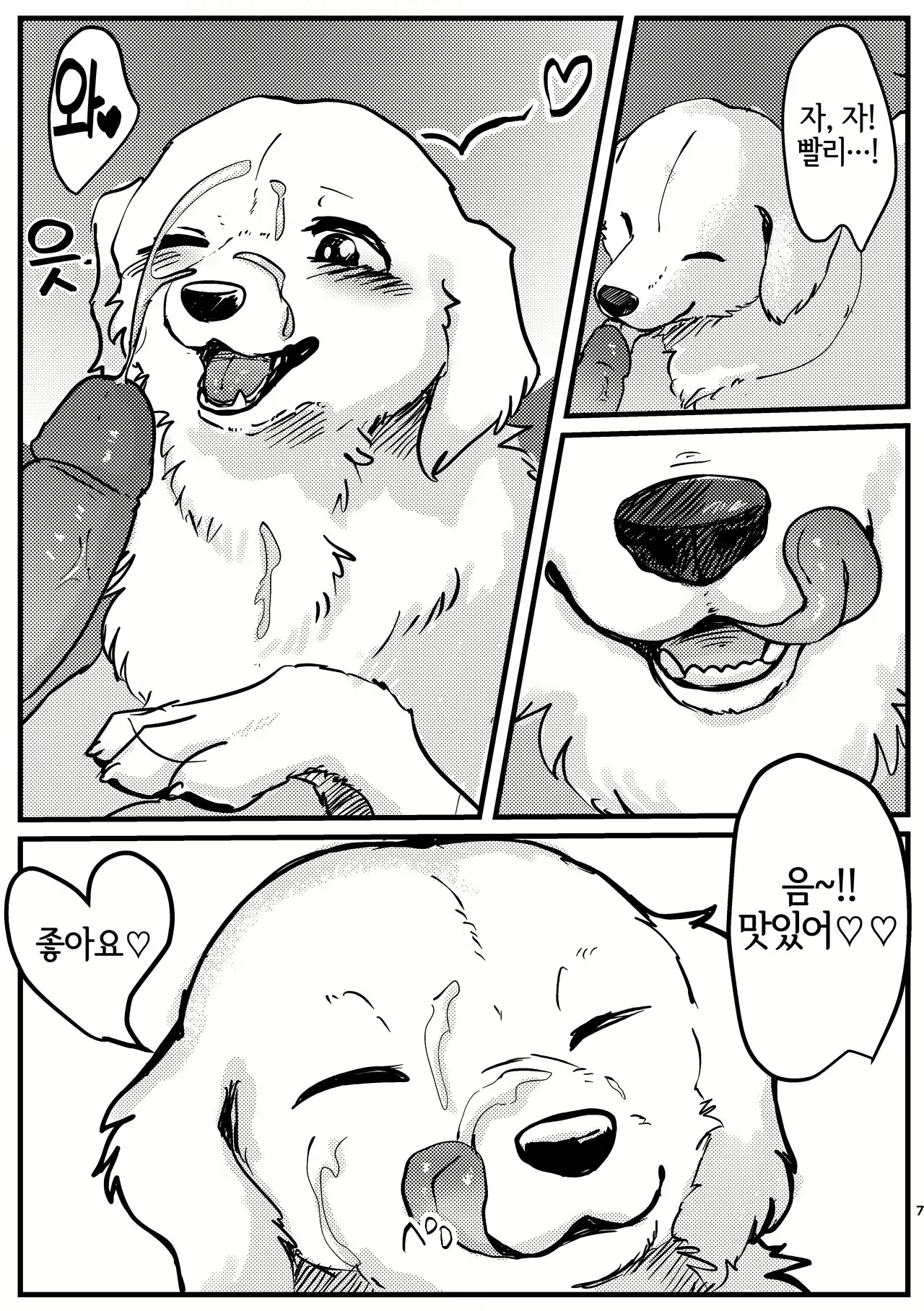 Content 2445203 - 7 페이지