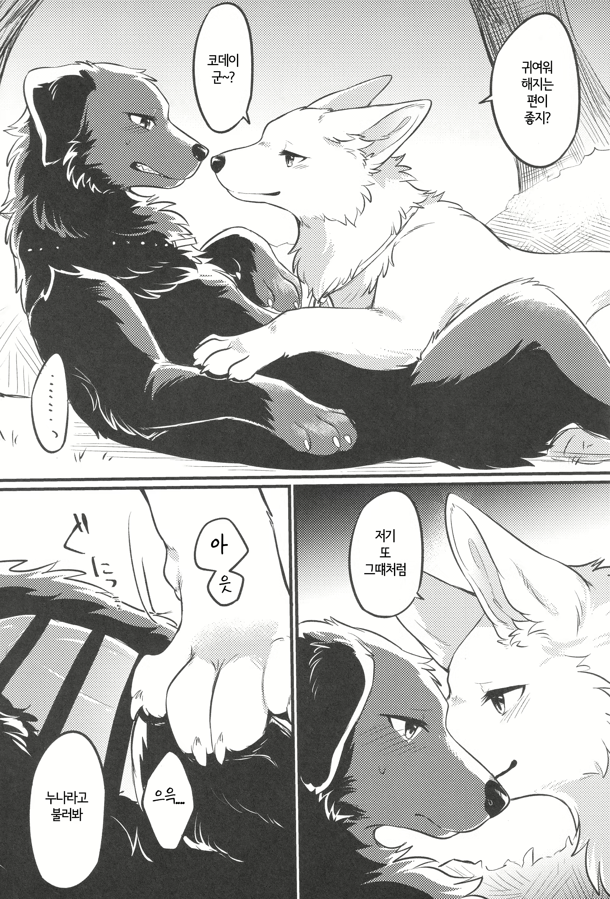 Content 2446453 - 10 페이지