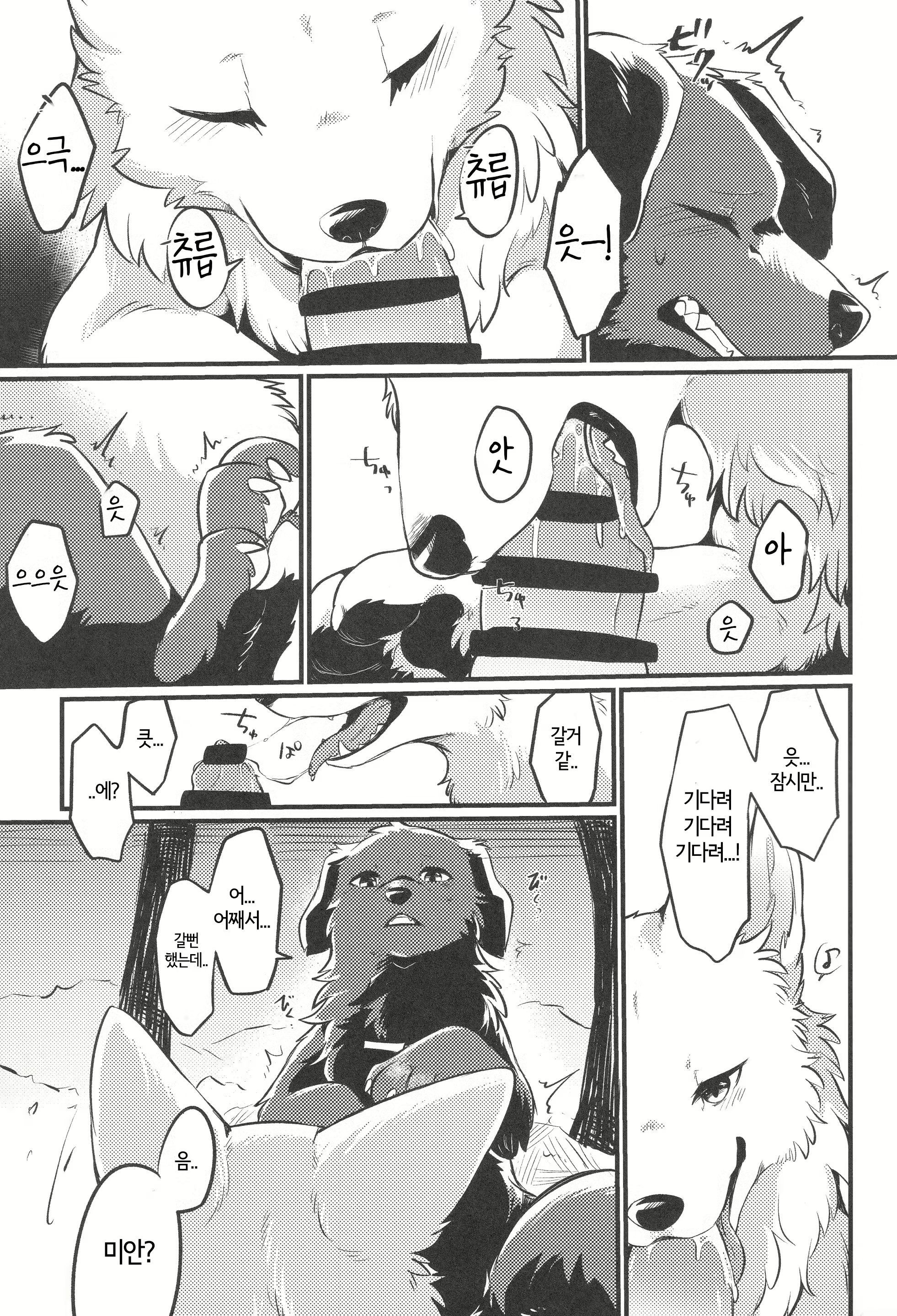 Content 2446453 - 12 페이지