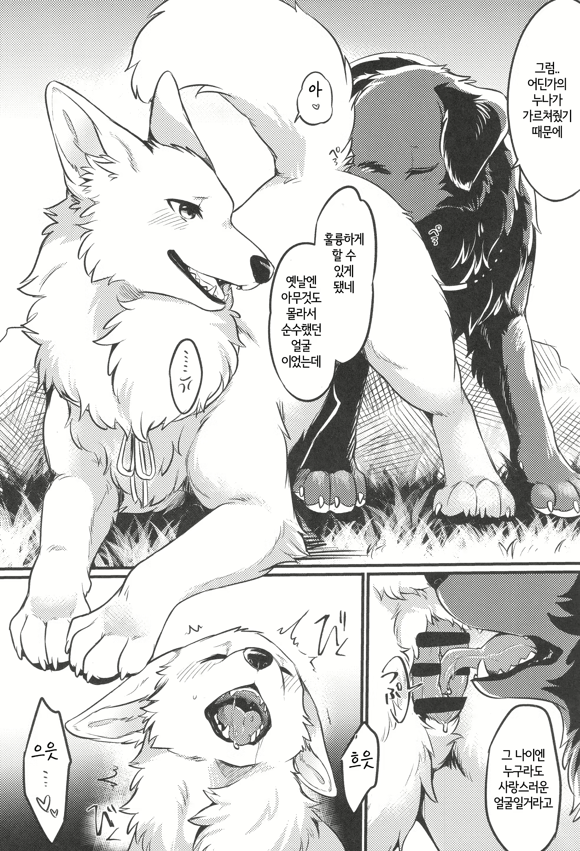 Content 2446453 - 14 페이지