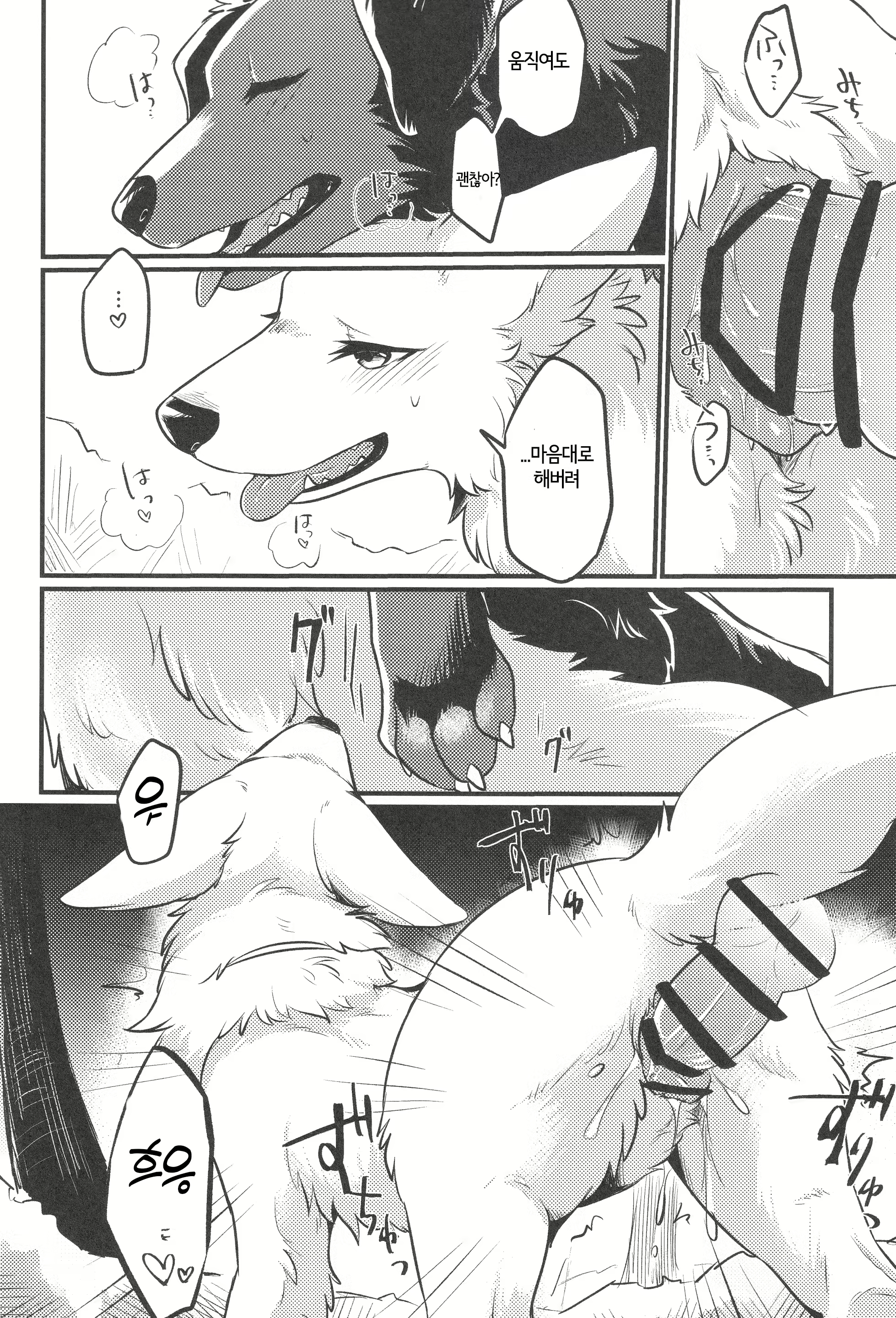 Content 2446453 - 17 페이지