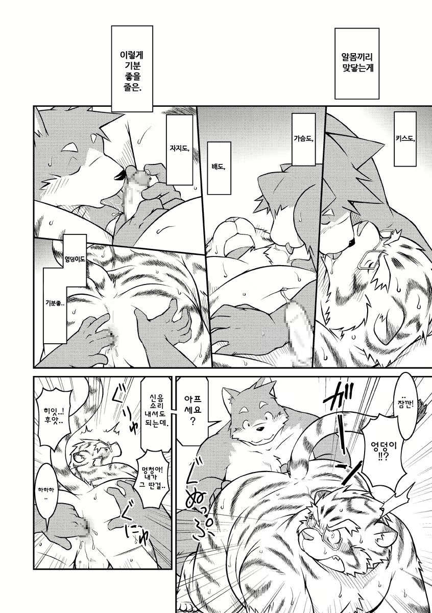 Content 2446581 - 10 페이지