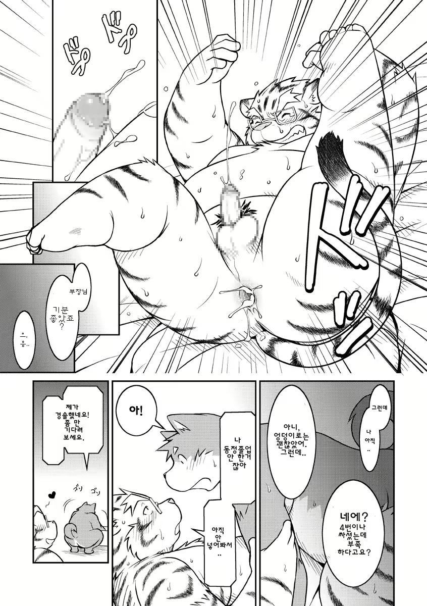 Content 2446581 - 13 페이지