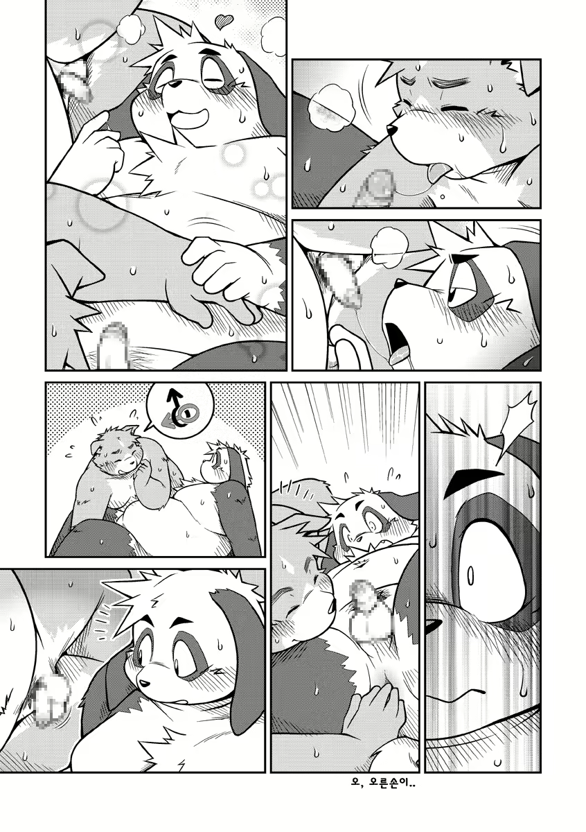 Content 2446581 - 31 페이지