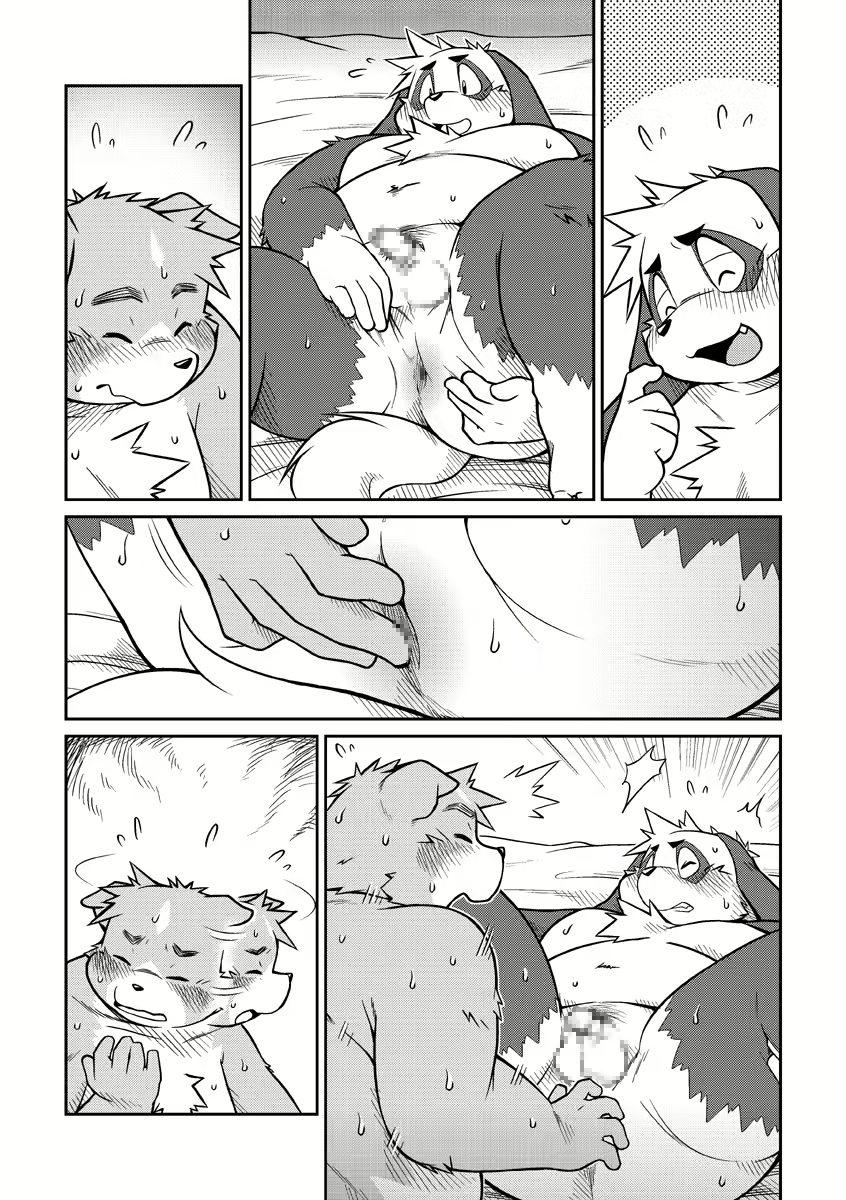 Content 2446581 - 32 페이지