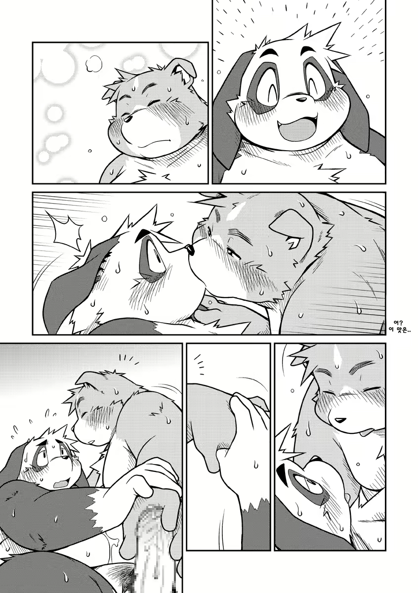 Content 2446581 - 41 페이지