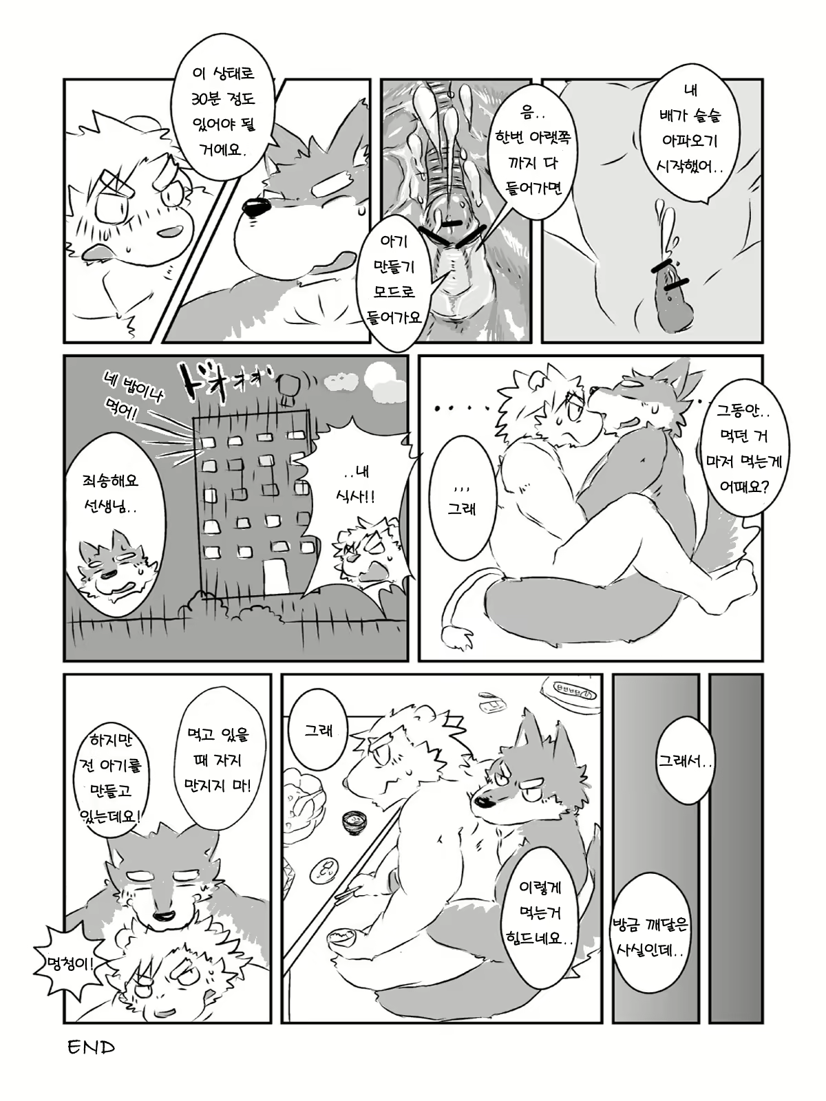 Content 2446783 - 13 페이지