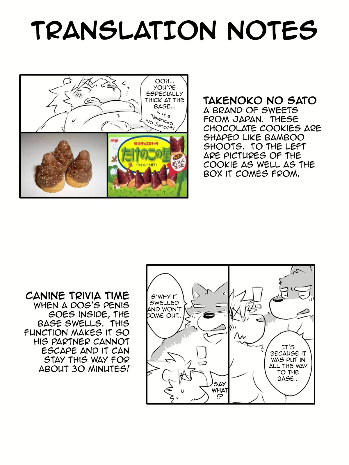 Content 2446783 - 70 페이지