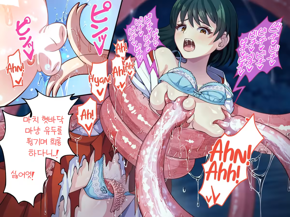 Content 2447279 - 55 페이지