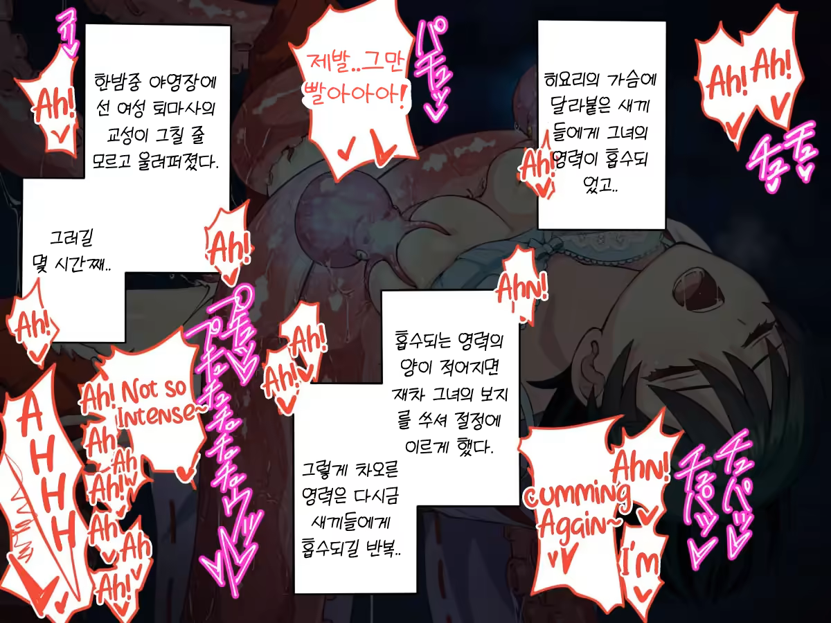 Content 2447279 - 75 페이지