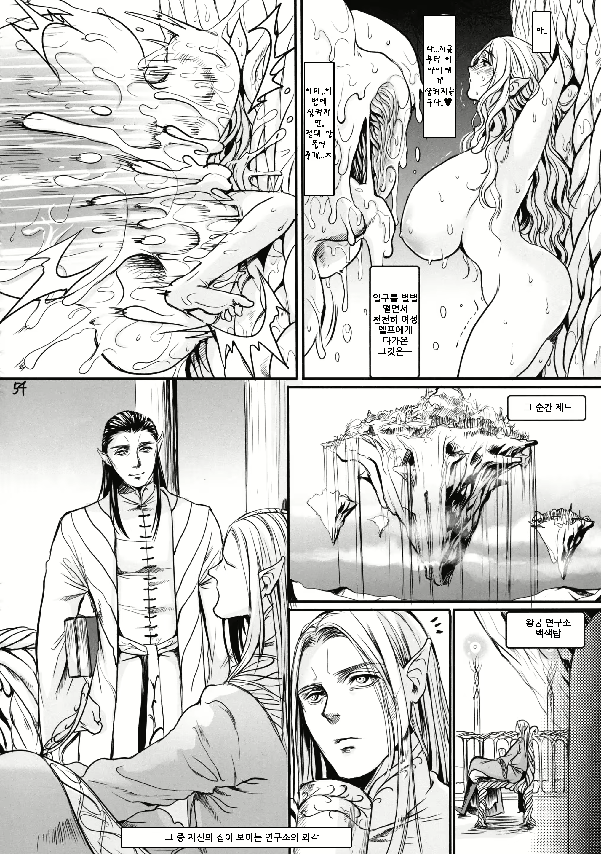 Content 2460213 - 53 페이지