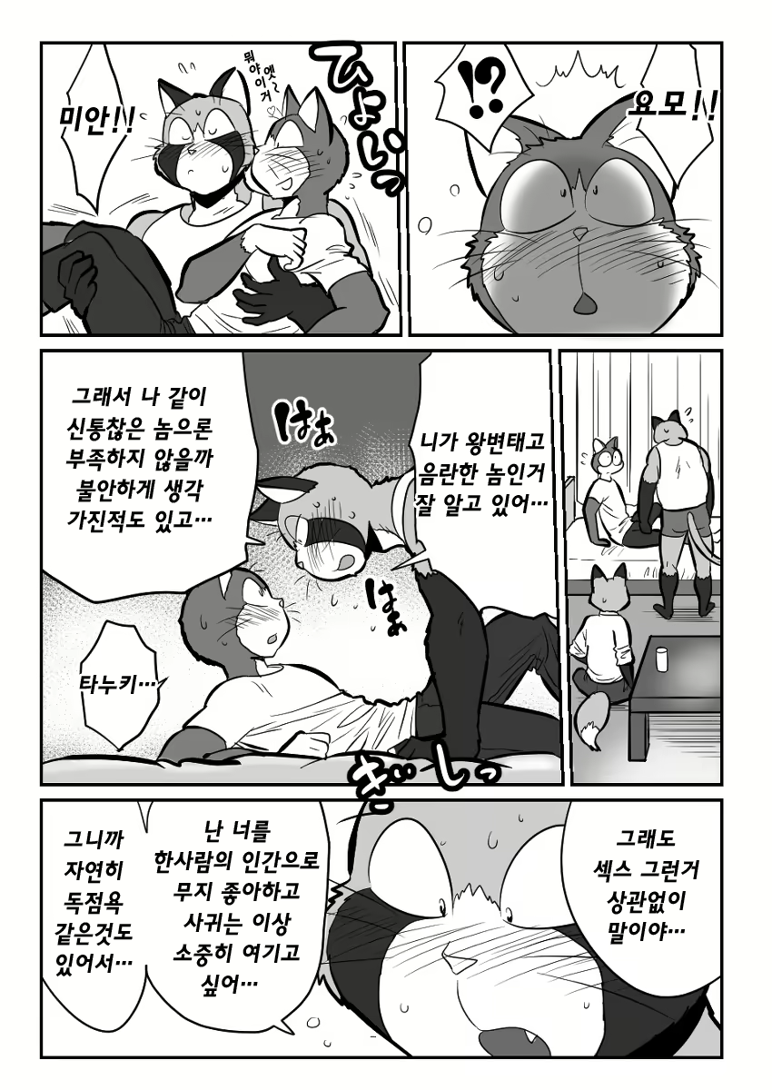 Content 2463533 - 15 페이지