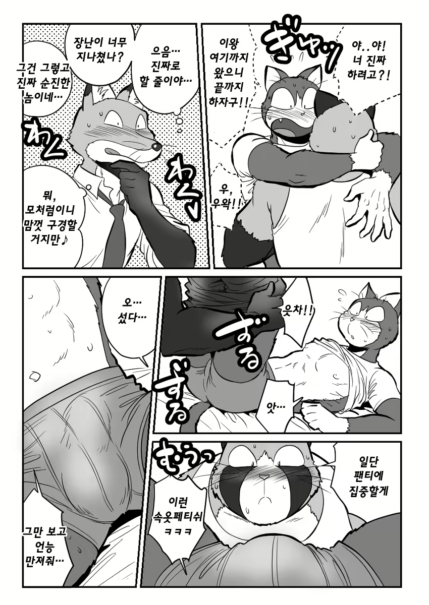 Content 2463533 - 19 페이지