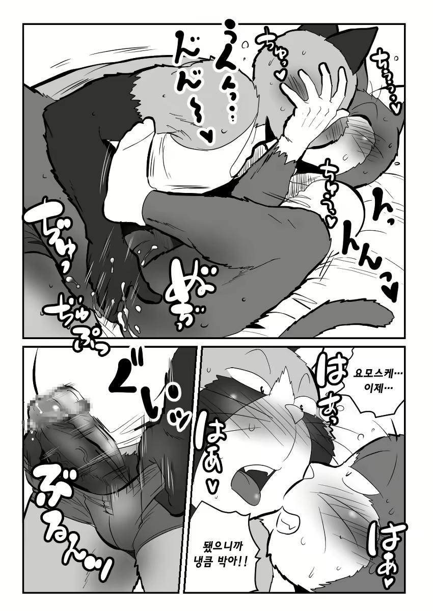 Content 2463533 - 24 페이지