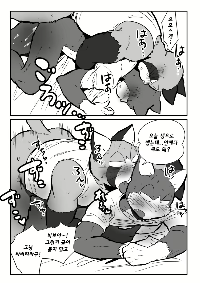 Content 2463533 - 30 페이지