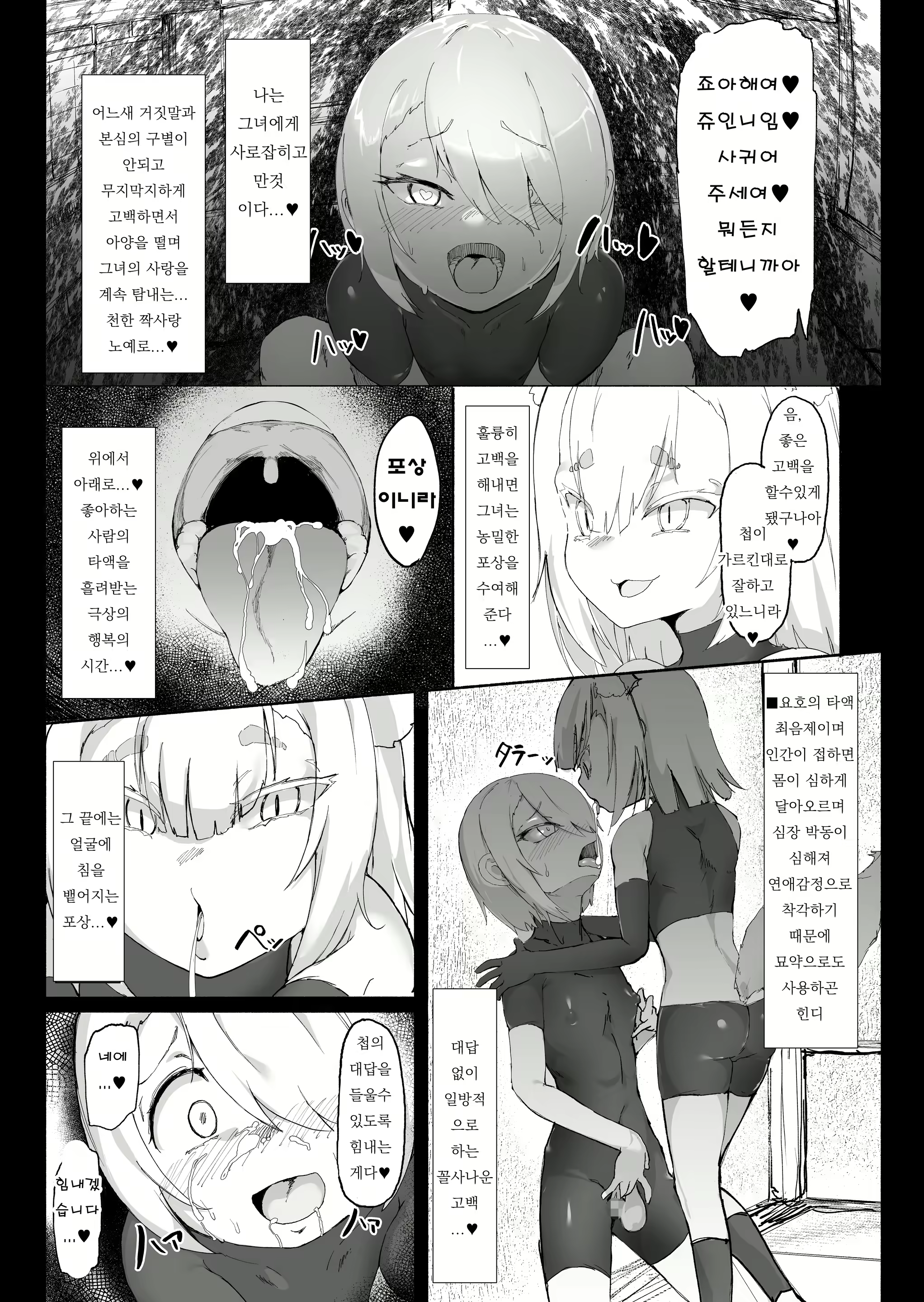 Content 2463899 - 12 페이지