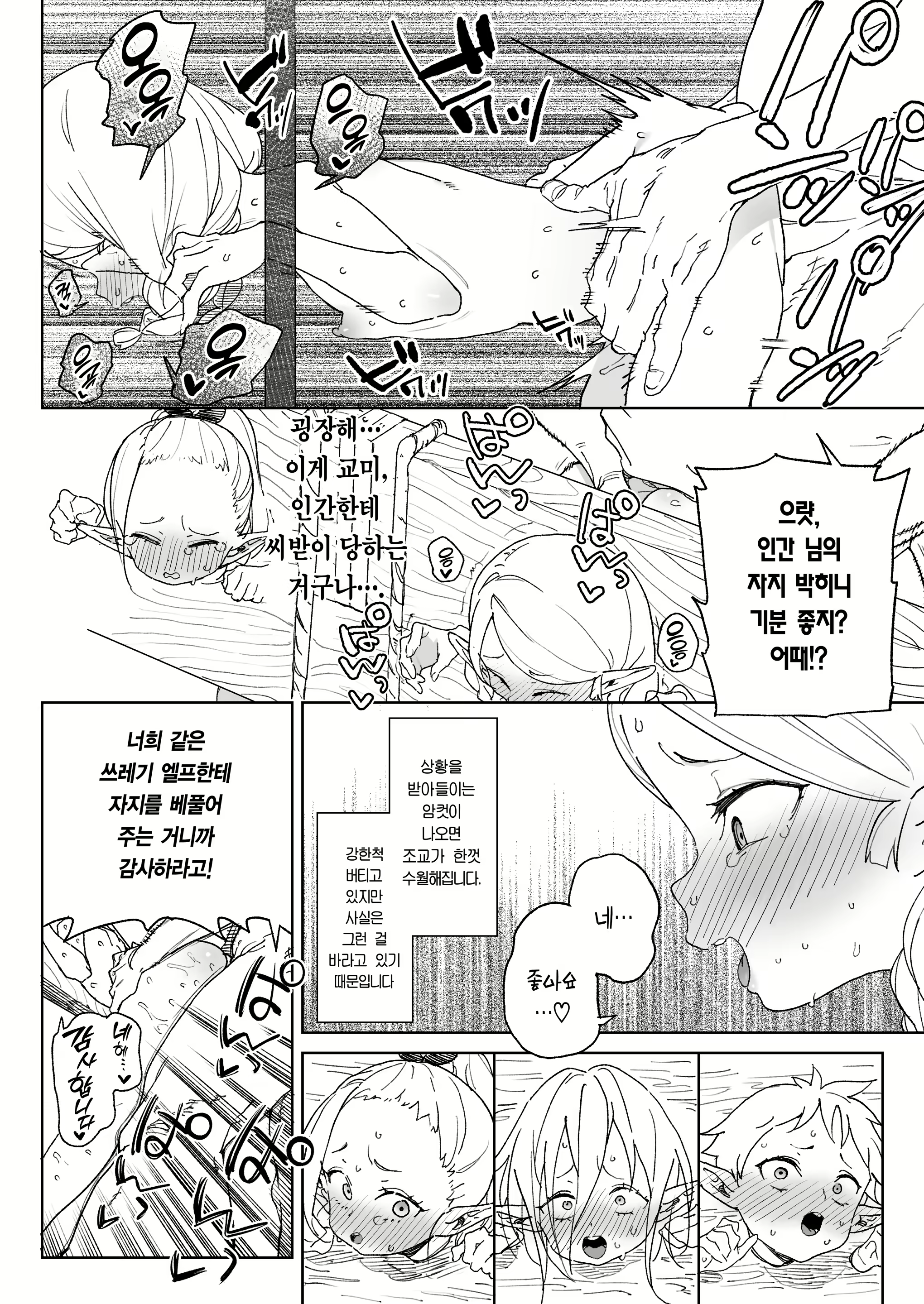 Content 2464513 - 13 페이지