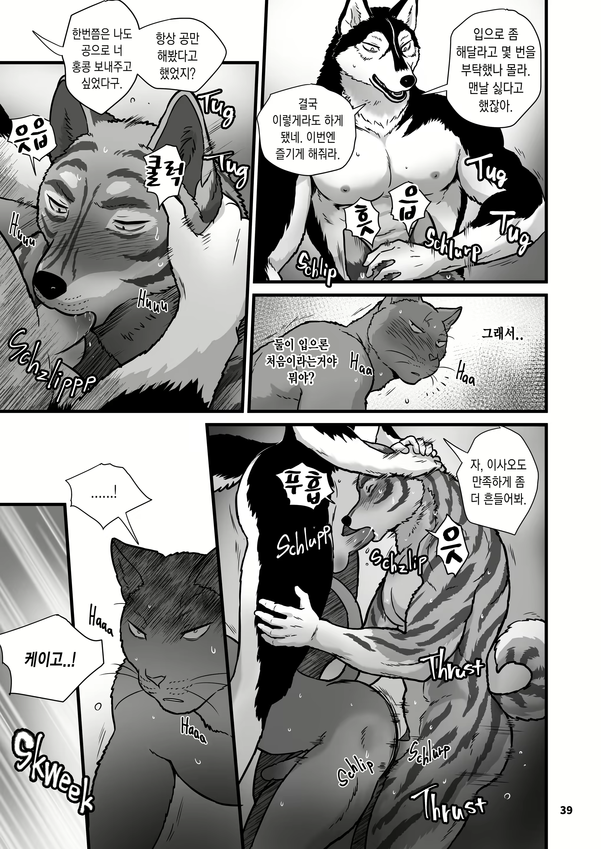 Content 2464782 - 39 페이지