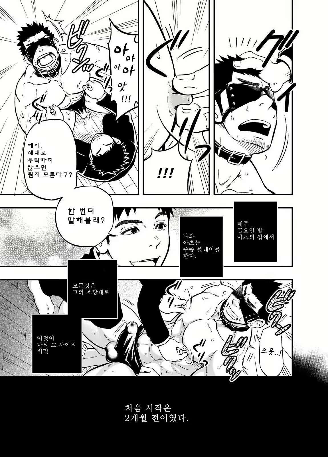 Content 2469340 - 16 페이지