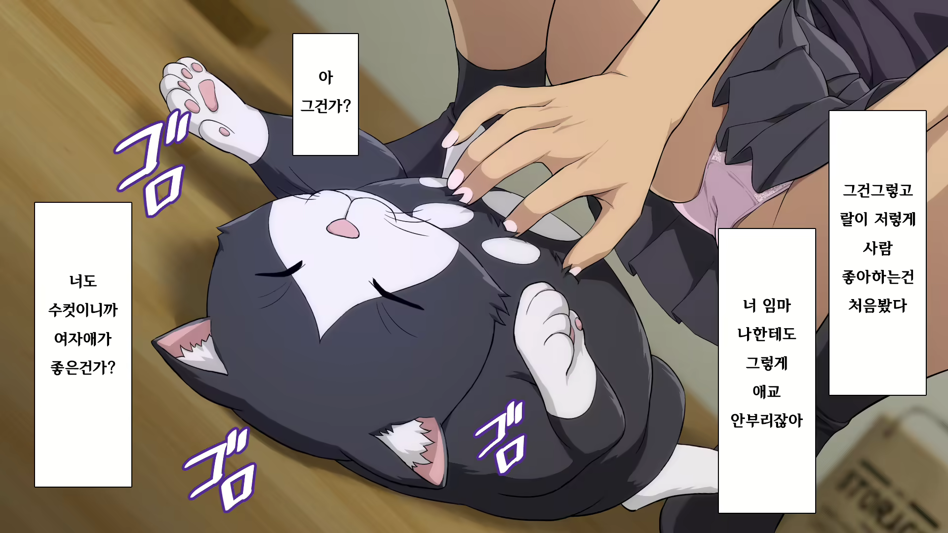 Content 2470307 - 30 페이지