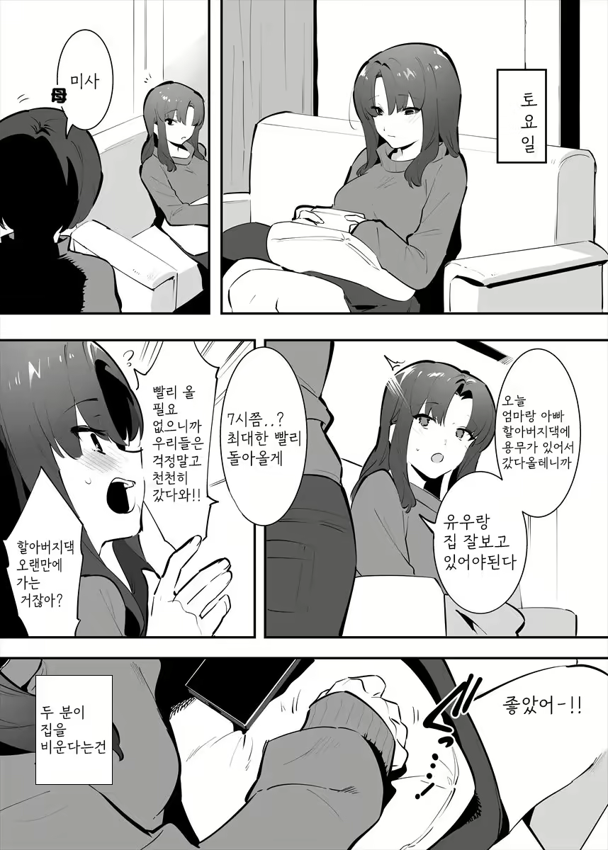 Content 2493358 - 3 페이지