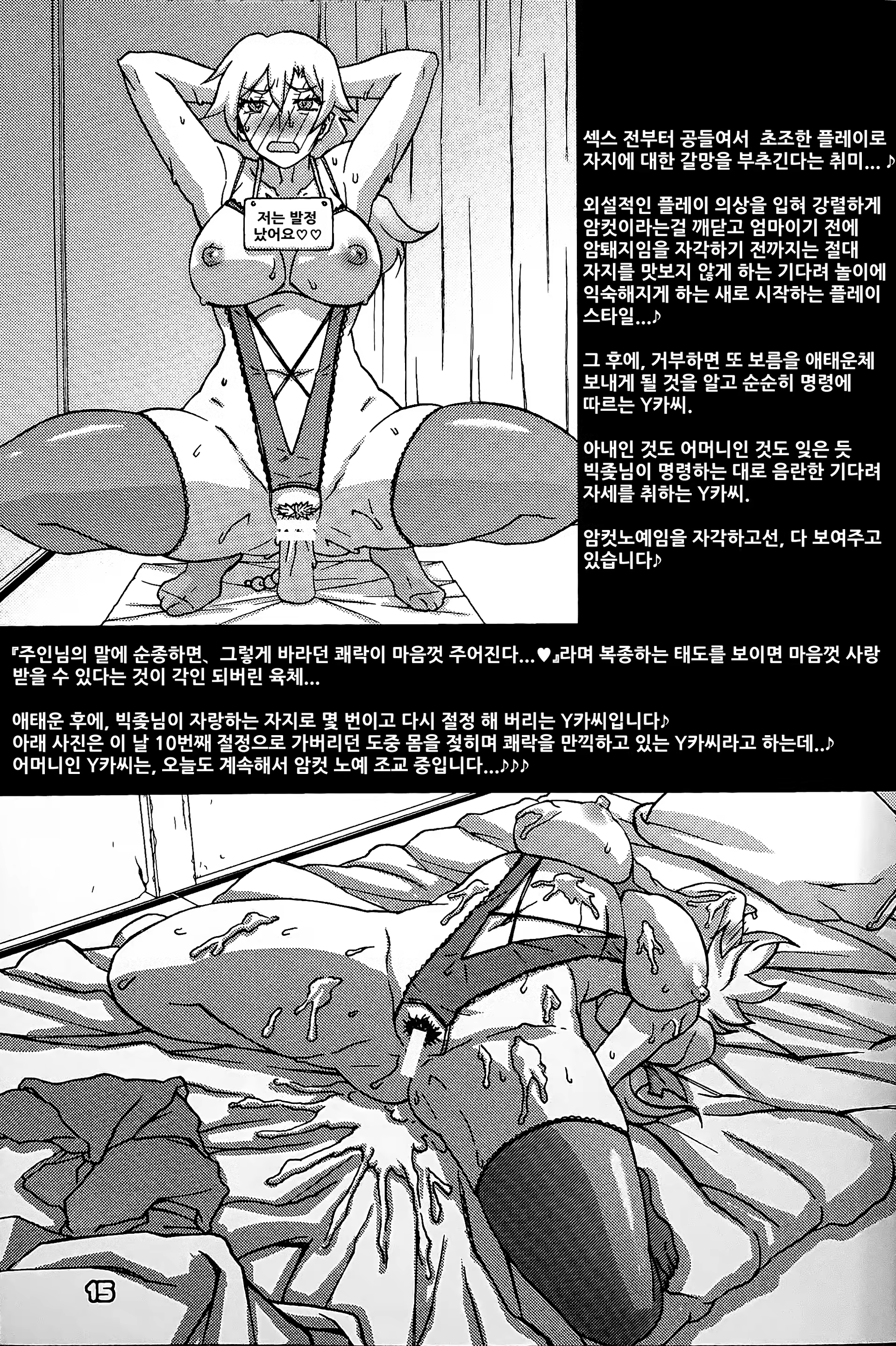 Content 2494209 - 14 페이지